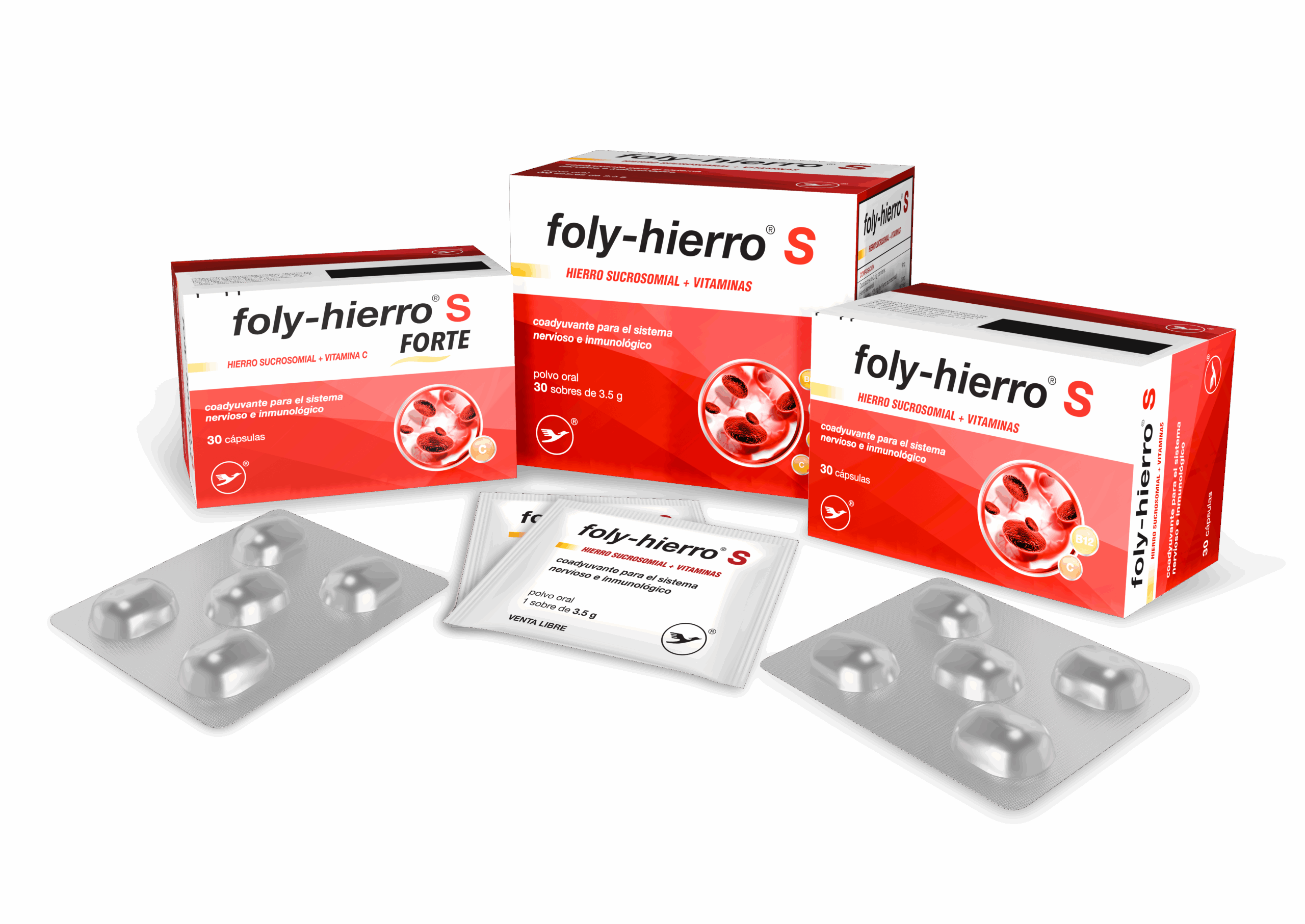 FOLY_HIERRO_S